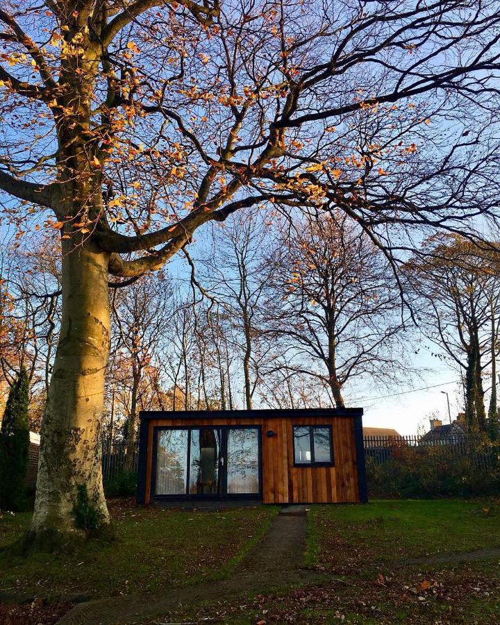 Cozy Snowdonia Chalet Caernarfon Exterior foto